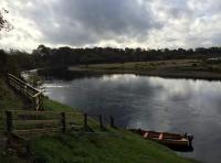 Salmon Beats On The River Tay 

