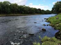 Salmon Fishing Lessons In Scotland 
