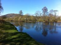 Where To Look For A Salmon 

