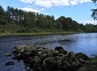 The Famous River Dee Salmon Beats 
