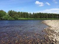 Salmon Fishing Events 
