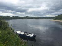 Summer Days On The River Tay 