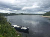 Summer Days On The River Tay 
