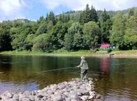 Learn How To Fish For Salmon 
