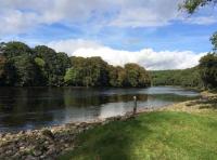 River Tay Salmon Fishing 

