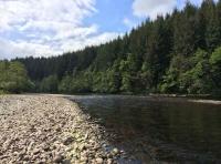 Fishing The Fly Effectively 
