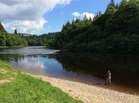 Learn How To Fish For Salmon 
