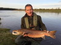 Autumn Salmon From The River Tay 
