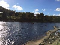 River Tay Salmon Fishing Guide 
