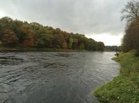 Fishing On The Lower River Tay 
