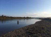 Autumn Salmon Fishing In Scotland 
