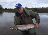 Salmon From The River Tay 
