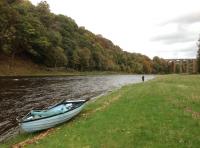 River Tweed Guided Salmon Fishing 

