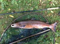 Fishing Scotland For Salmon In The Autumn 
