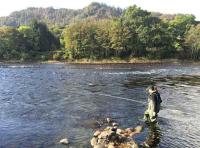Fishing In Scotland For Salmon 

