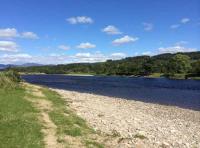 River Tay Hospitality Fishing Days 
