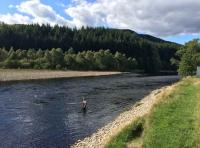 Salmon Fishing Hospitality Days 
