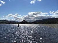 Salmon Fish The Scottish Rivers 
