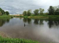 Meikleour Beat Salmon Fishing 

