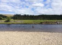 Fly Fishing Tuition In Scotland 
