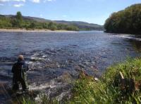 Salmon Fishing Hospitality 
