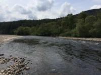 How To Read A Salmon pool 
