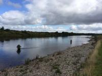 Looking For Salmon Fishing In Scotland 