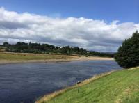 Find A Scottish Salmon Fishing Guide 
