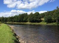 Find Salmon Fishing In Scotland 

