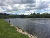 Salmon Fishing Paradise In Scotland 
