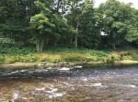 Summer Salmon Fishing 
