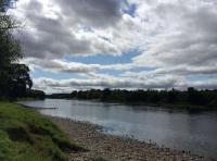 Fishing On The River Tay 
