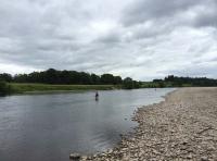 Fly Fishing The Scottish Salmon Rivers 
