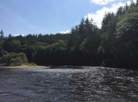Dunkeld Salmon Fishing 
