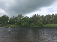 Fly Fishers On Scottish Salmon Rivers 