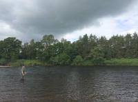Fly Fishers On Scottish Salmon Rivers 

