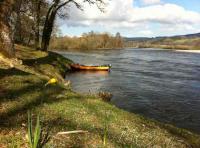 Spring Fishing On The River Tay 