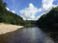 Salmon Fishing Specialists 
