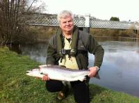 Fishing For Spring Scottish Salmon 
