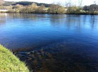 The Salmon Fishing Croy 
