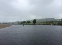 Salmon Fishing In The Rain 
