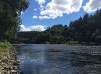 Salmon Fishing Pools Of The River Tay 
