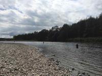Find Salmon Fishing In Scotland 
