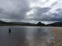 River Tay Salmon Fishers 
