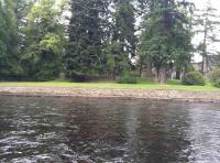 The Cathedral Stream In Dunkeld 

