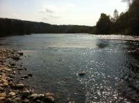 The Salmon River 
