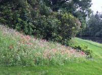 The Riverbanks Of Scotland 
