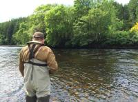 River Tummel Salmon Fishing Events