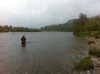Spring Salmon Fishing In Scotland