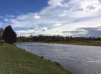 The River Tay In Summer
